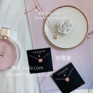美國代購🇺🇸 現貨 最經典 超美 Coach 項鍊 ✨女生 項鍊 項鏈玫瑰金 銀色 金色 鎖頭 圓形 水鑽玻璃石禮物