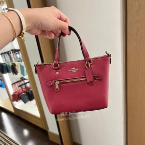美國代購🇺🇸 現貨 迷你款 COACH 水餃包 側背包